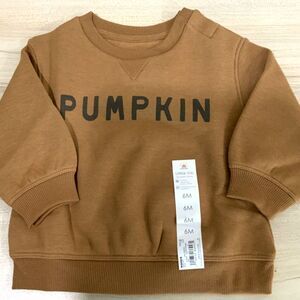 NWT!! Pumpkin Lightweight Sweatshirt Orange/Brown 6 Month Old